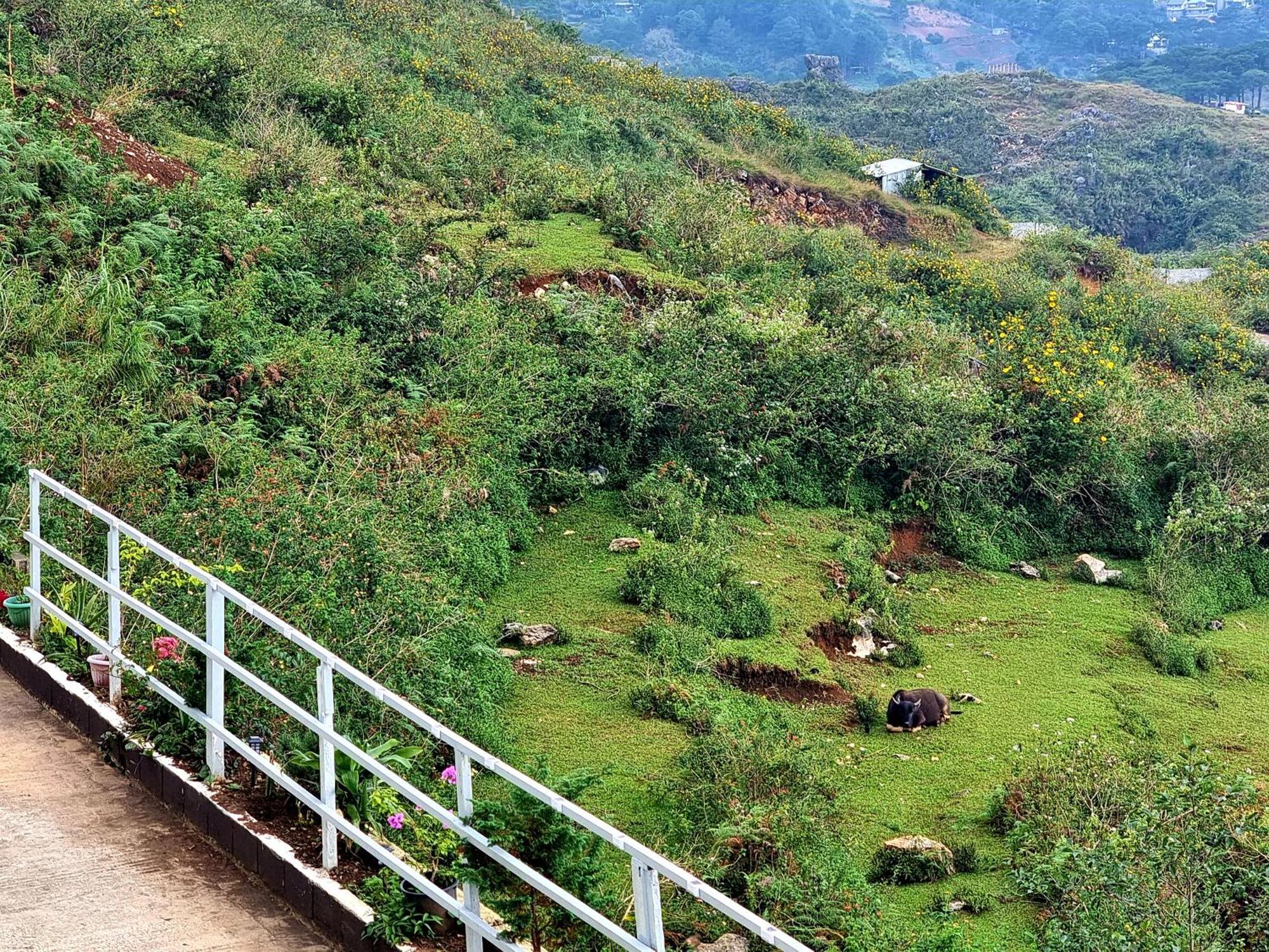 Wanay'S Rocky Mountain Homestay Baguio City Exterior foto